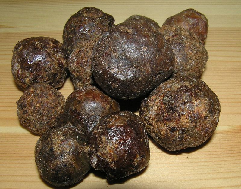 Skład, właściwości i zastosowanie propolisu