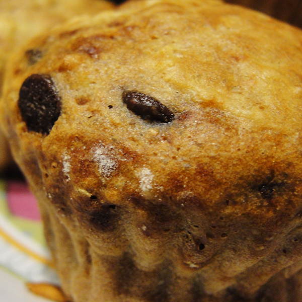 Muffinki jabłkowe z czekoladą i miodem